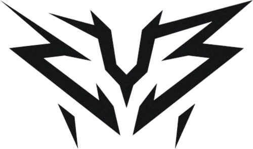 ZYB Esport